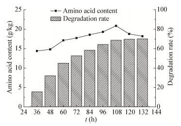 Feather Feed Nutrition Value