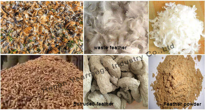 Raw Material and Feather Powder