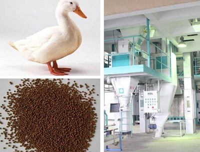 feed pellet machine