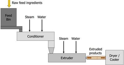 Extrusion process