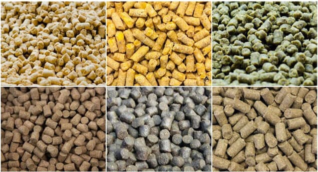 animal feed pellet