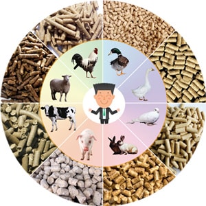 feed pellet